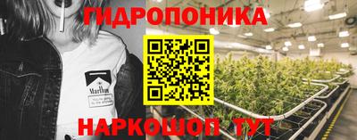 спайс Тара