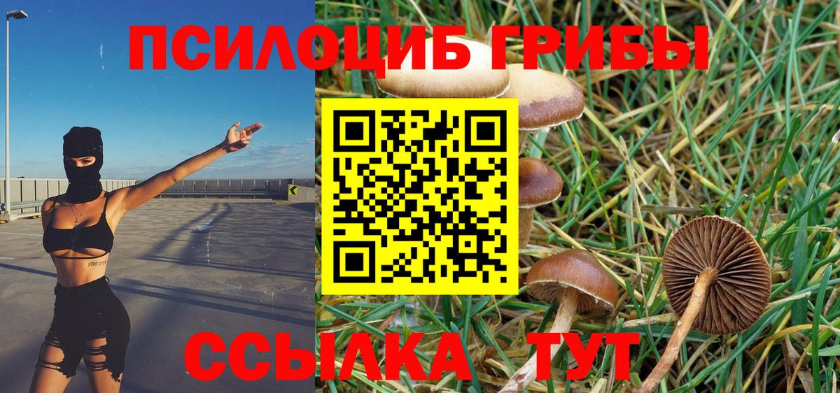 купить наркотик  Псилоцибиновые грибы Cubensis  Галлюциногенные грибы Psilocybine cubensis  Вход с VPN  Новоуральск 