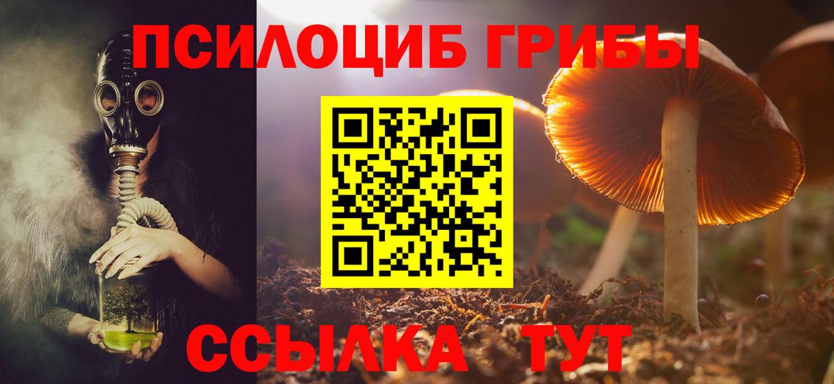 Псилоцибиновые грибы Cubensis Новоуральск